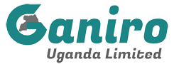 Logos Cloud Edge LimitedAFRICA Website Client 